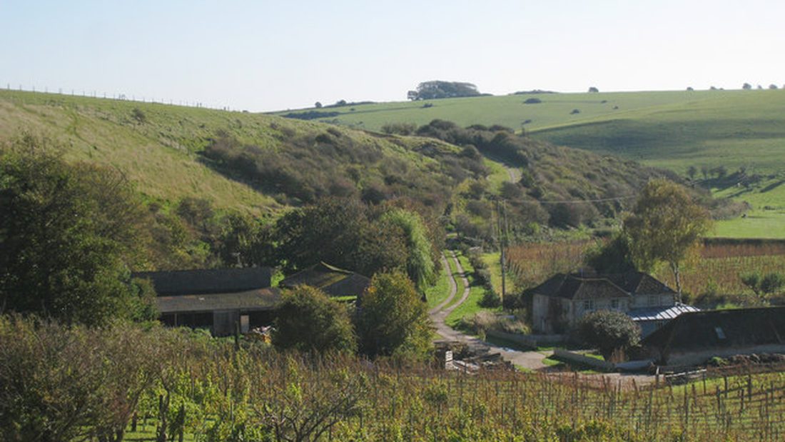 Photograph of Breaky Bottom vineyard