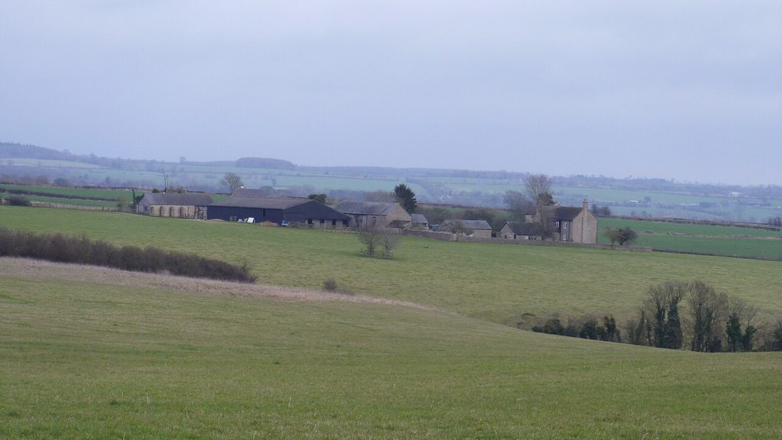 Photograph of Diddly Squat Farm