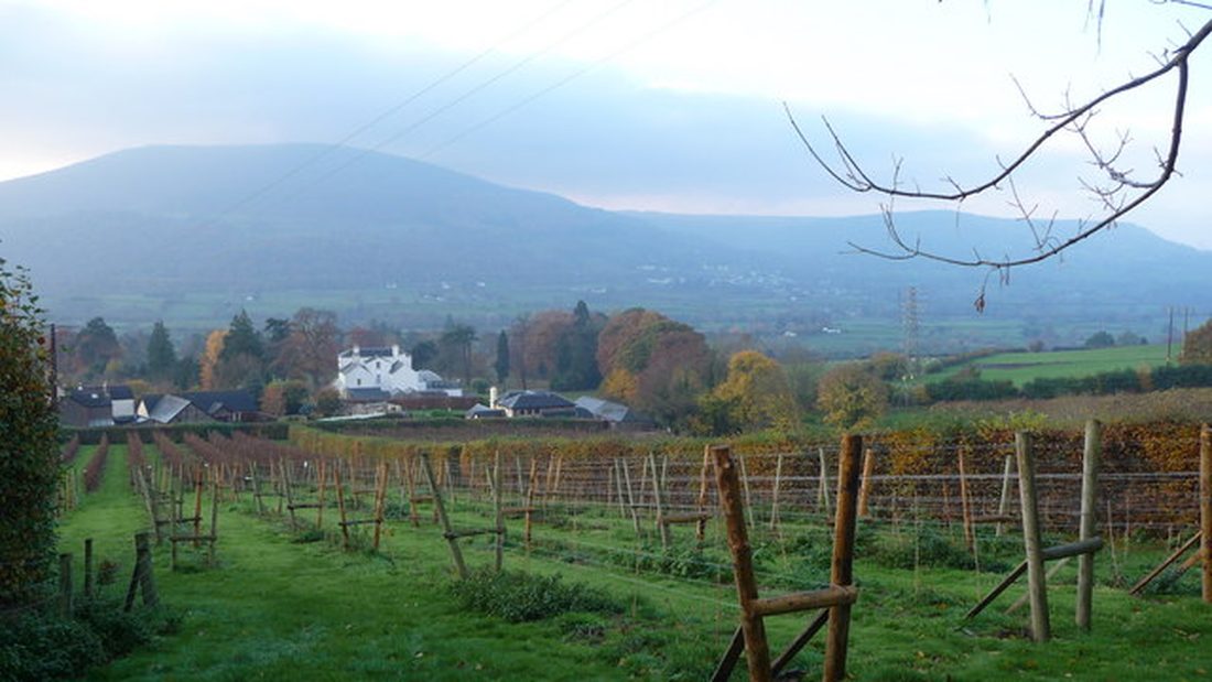 Photograph of Sugar Loaf Vineyards