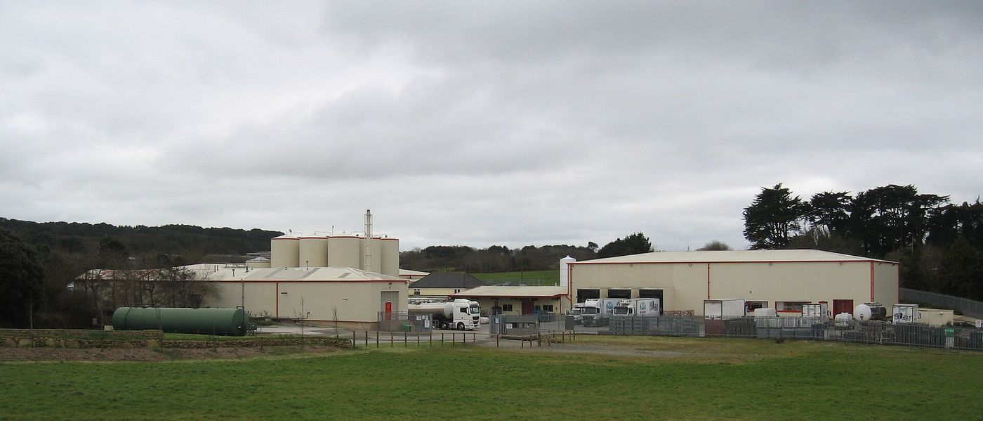 Generic photograph illustrating creamery in the UK