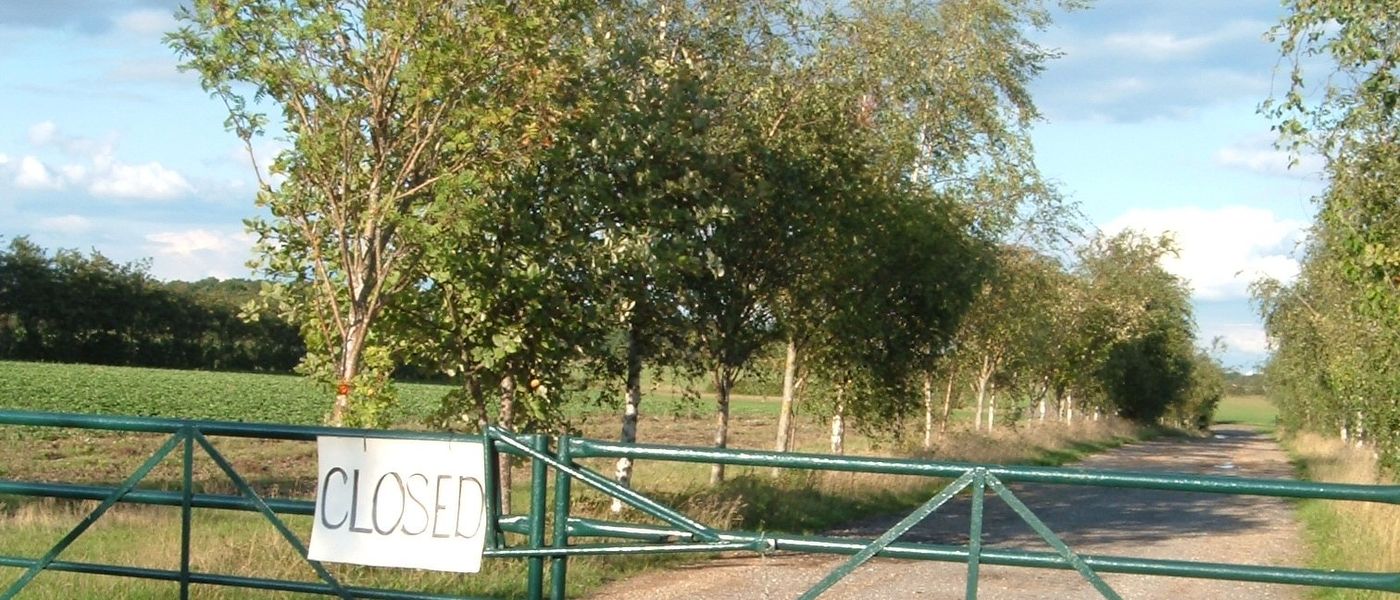 Generic photograph illustrating pick your own in the UK